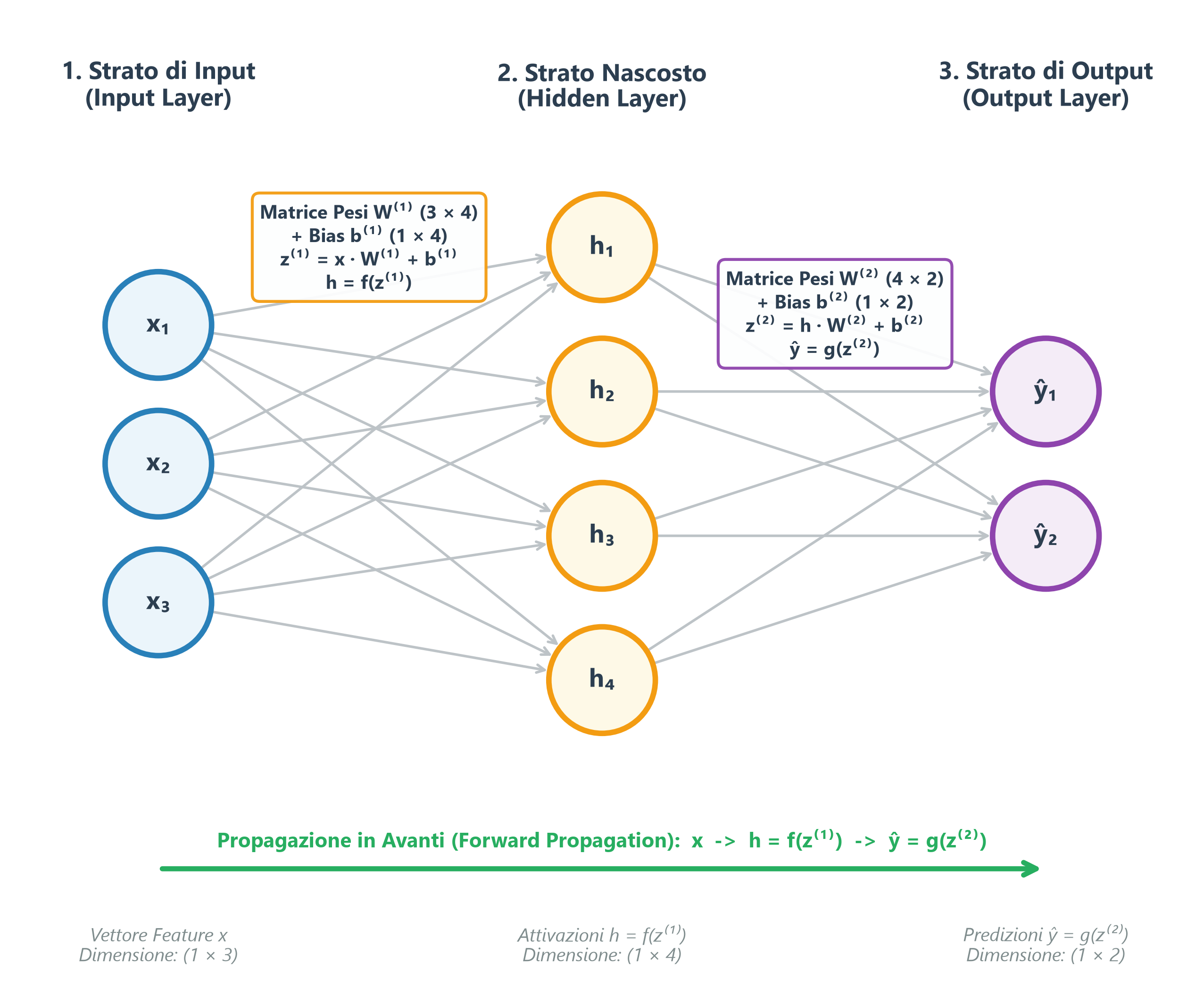 Architettura di una Rete Neurale Multistrato MLP: Strato di Input, Strato Nascosto e Strato di Output